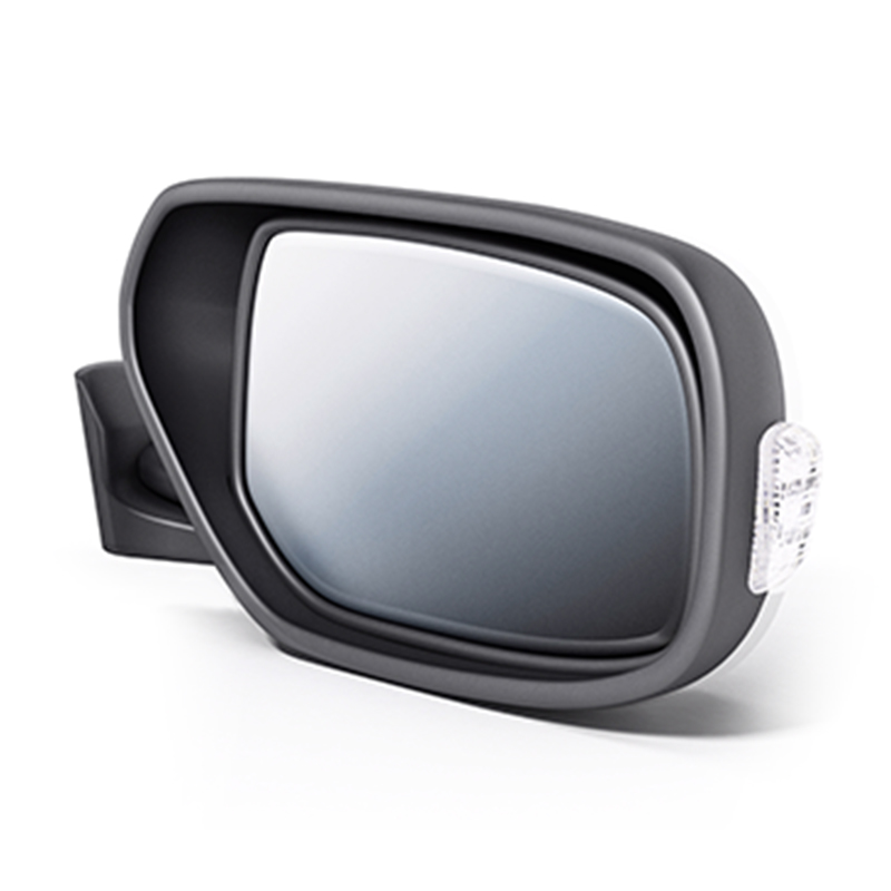 Polysiloxane Coating