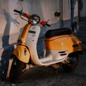 Offer guided tours for city sightseeing